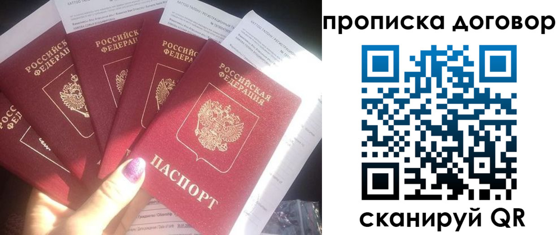 где прописаться в Данкове